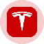 لوگوی Tesla Tokenized Stock (Ondo)